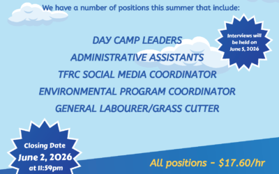 We are Hiring – Summer Students