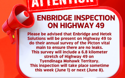Enbridge Survey of Picton Vital Main in TMT