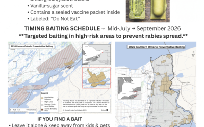 Rabies Control Program 2026