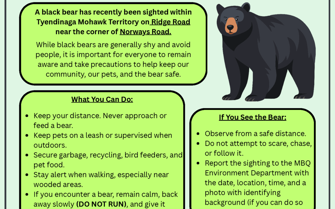 Be Bear Aware